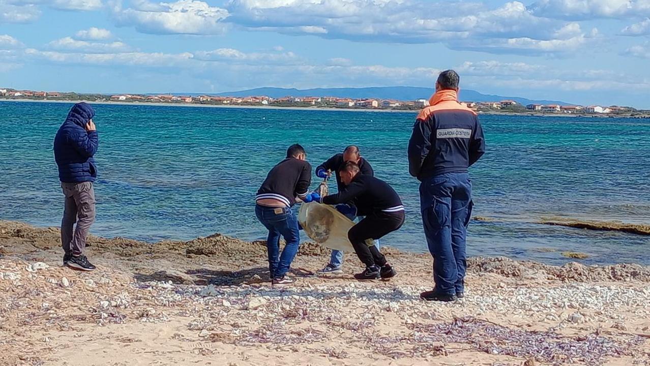 Il ritrovamento del cadavere a San Vero Milis <em>(foto Andrea Atzori</em>)
