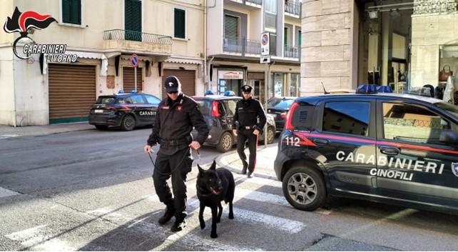 Controlli antidroga: arrestato un 18enne e 7 denunciati