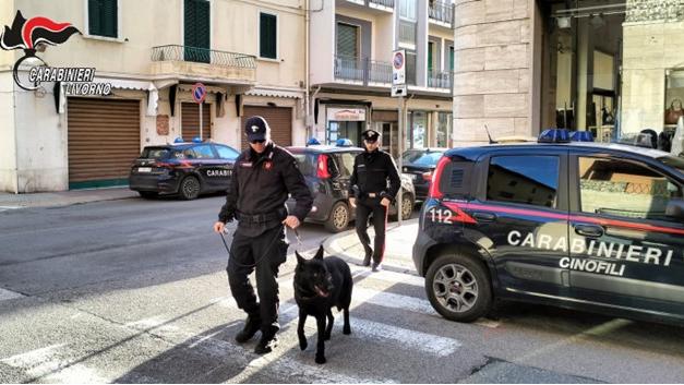 Controlli antidroga: arrestato un 18enne e 7 denunciati