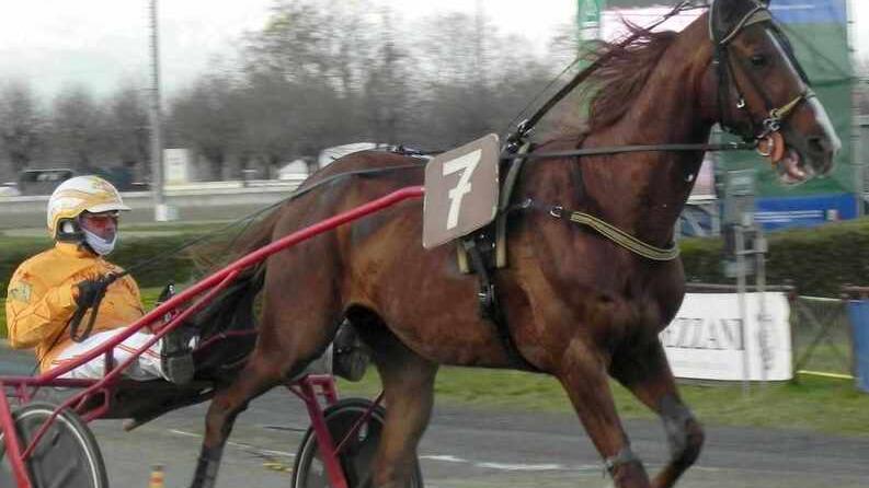 Vernissage Grif con Alessandro Gocciadoro