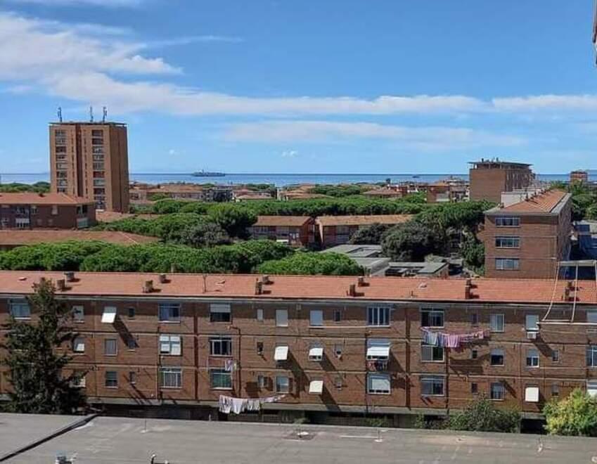 Livorno, il quartiere della Rosa tra cavalcavia, radici di pini e l’ex circoscrizione: "Ecco cosa non va e le nostre idee"
