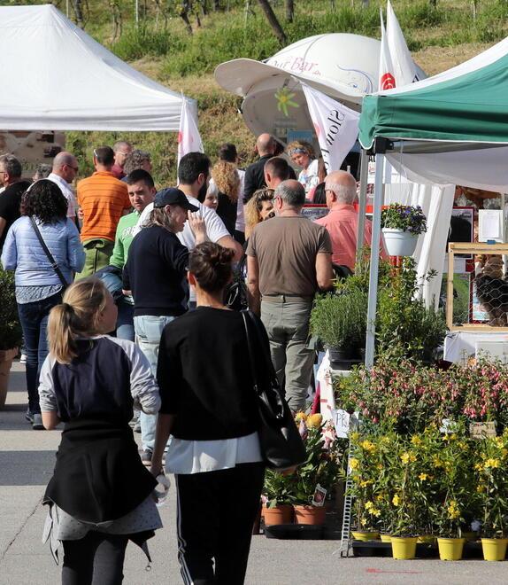 Pescia, torna la fiera Naturalitas. In vetrina l’agrario e la città