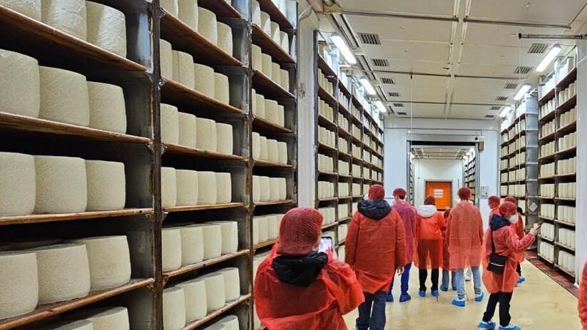 Anche il pecorino romano tra i prodotti tassati. Pinna: “Siamo ottimisti, è un prodotto difficilmente sostituibile»