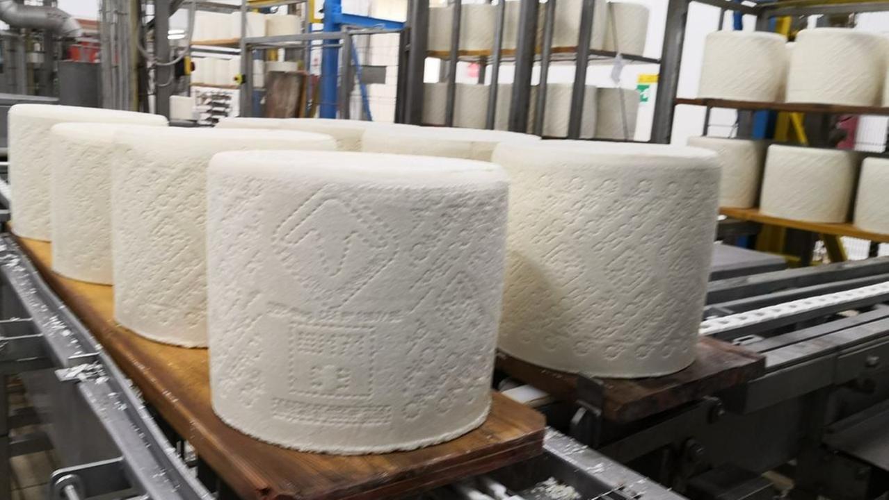 Forme di Pecorino Romano