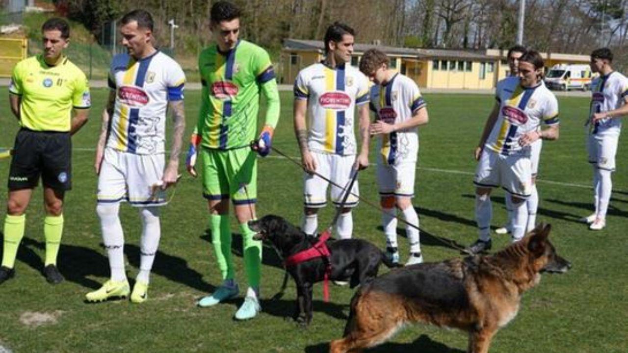 
	I giocatori del San Donato con i cani del canile

