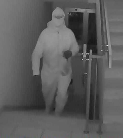 
	Uno dei due ladri immortalati dalle telecamere del condominio

