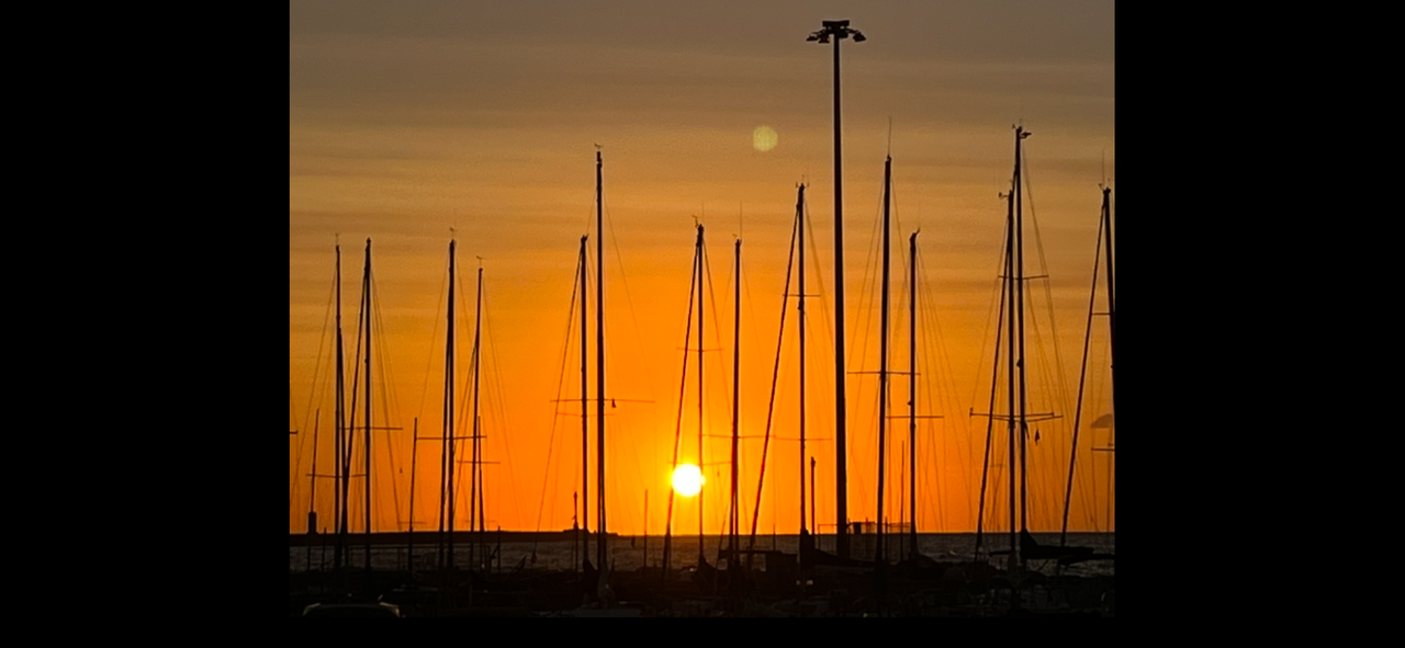Livorno e i suoi “alberi di mare” al tramonto. Grazie a Lea Grocco