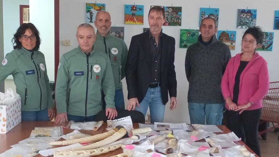Zanne di elefante e 300 opere in avorio, la collezione di don Galvani al Corpo forestale