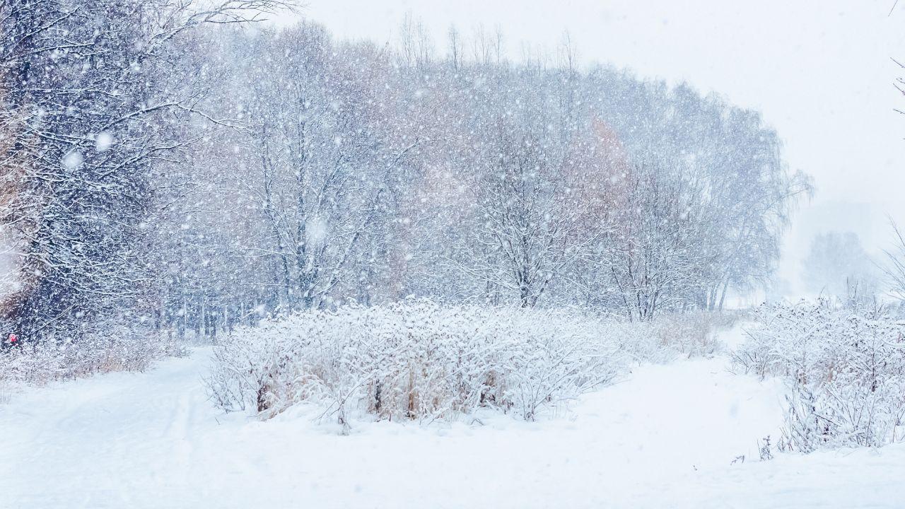 
	Attese nevicate a bassa quota in Toscana

