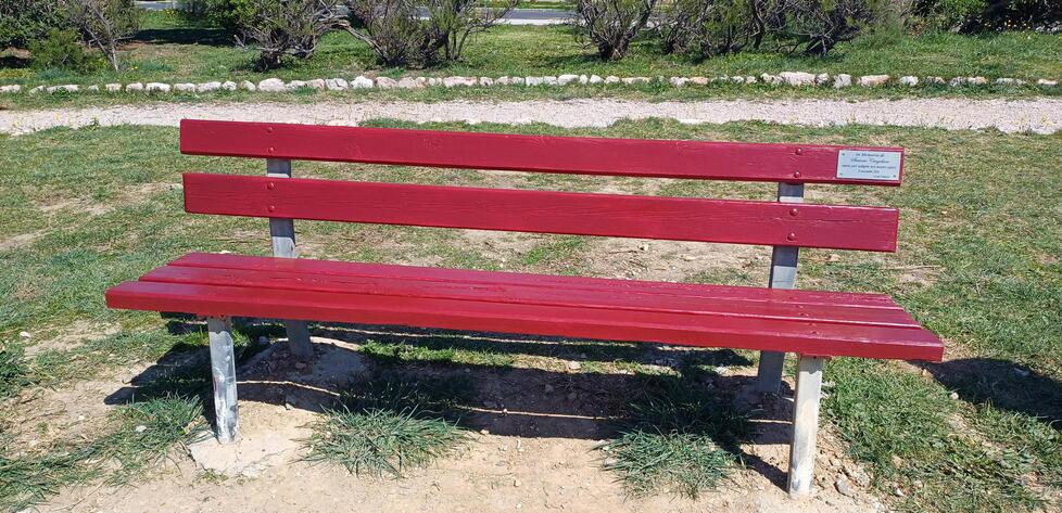 Amaranto, vista mare, dedicata a Simone Cingolani: a Livorno arriva la prima panchina memoriale<br>
