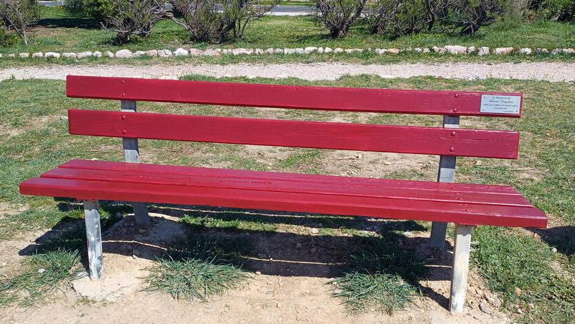 Amaranto, vista mare, dedicata a Simone Cingolani: a Livorno arriva la prima panchina memoriale<br>