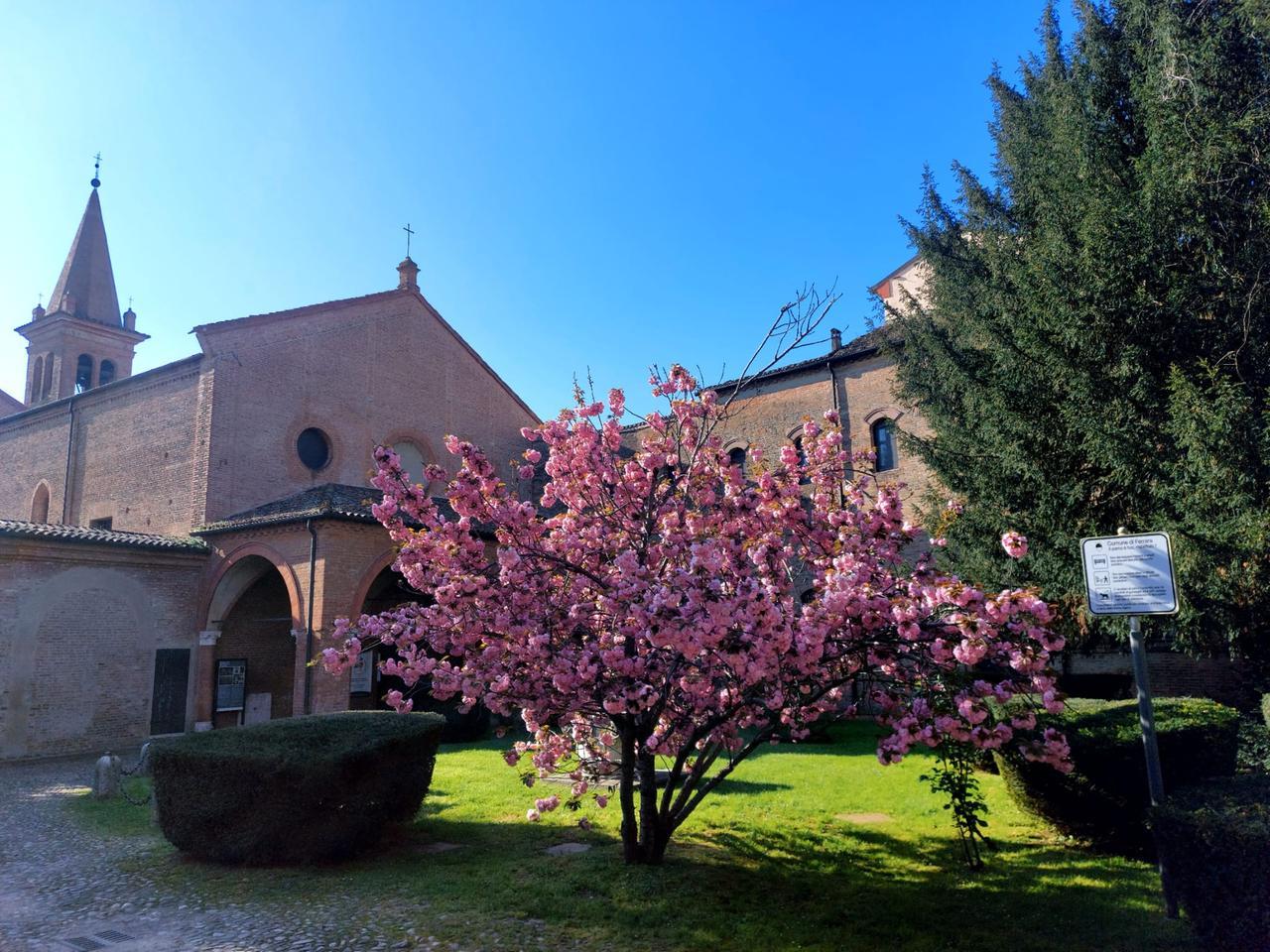 Ferrara, il ciliegio in fiore e il compleanno della Nuova