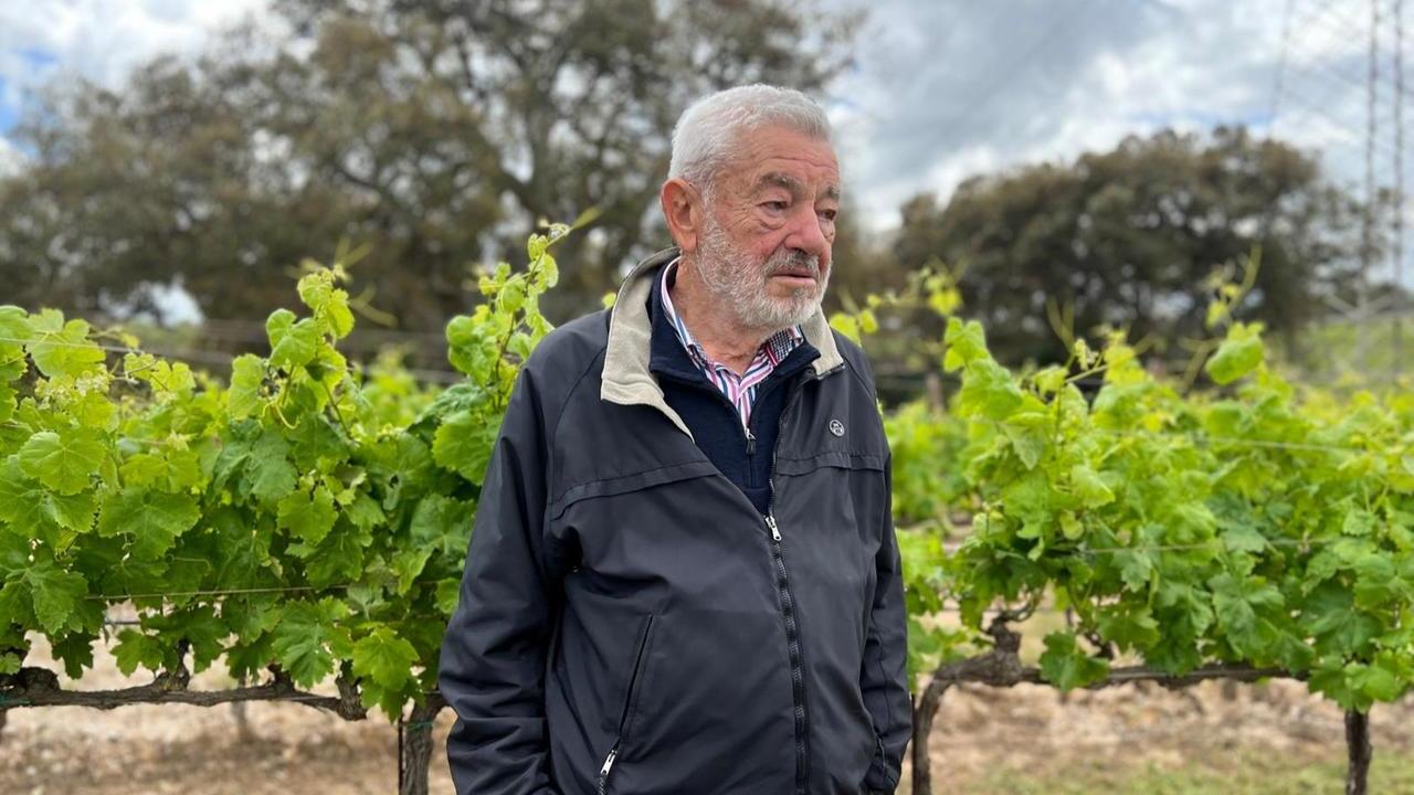 Giampaolo Parpinello premiato a Vinitaly 2025: medaglia Cangrande al pioniere del vino sardo