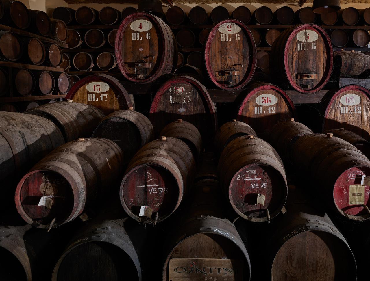 
	Le antiche botti della cantina Contini

