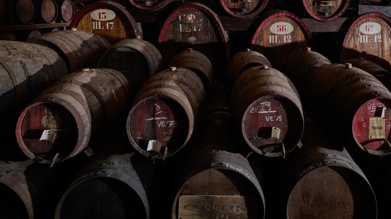 Le antiche botti della cantina Contini