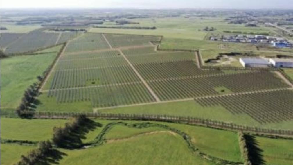 La foto-simulazione del progetto "Fattoria solare" di Siamaggiore