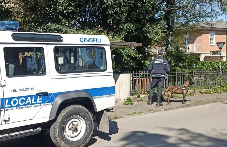 
	La polizia locale di Modena in via Boccaccio

