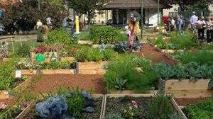 Capannori, bando per gli orti comunali: servono 20 “agricoltori”<br type="_moz" />