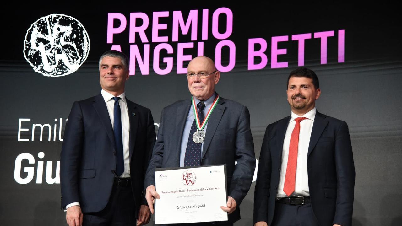 Giuseppe Meglioli premiato al Vinitaly: Medaglia Cangrande alla carriera dell’enologo di Reggio Emilia