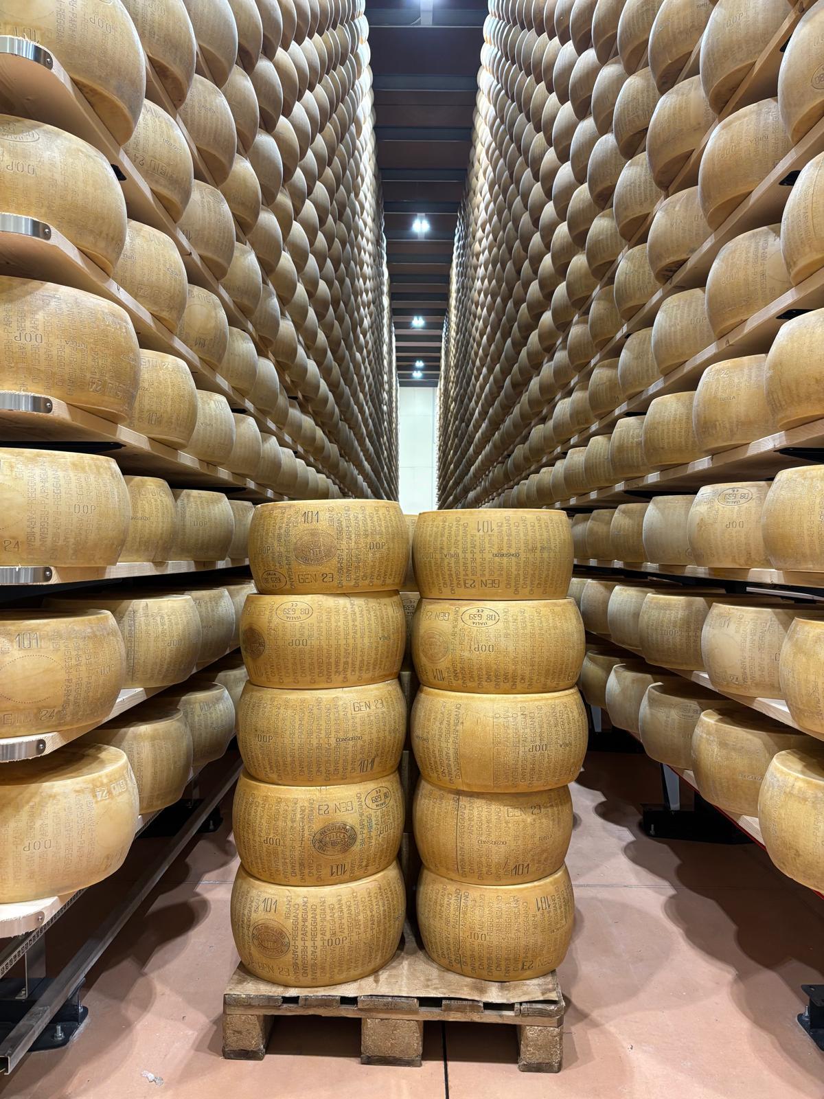 Caseifici aperti nel fine settimana:  tutto quello che c’è da sapere