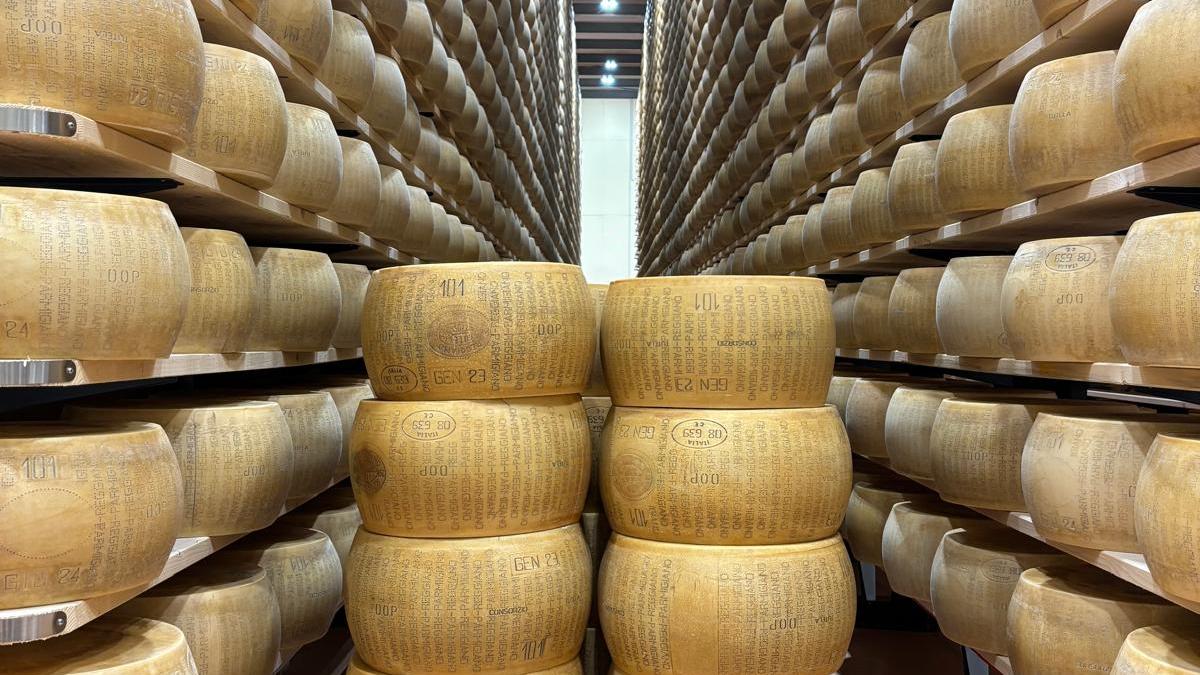 Caseifici aperti nel fine settimana:  tutto quello che c’è da sapere