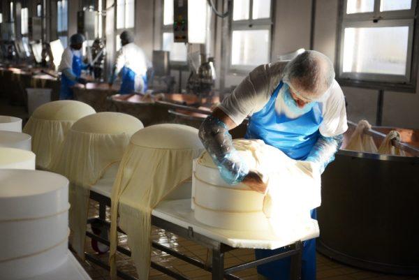 Caseifici aperti: ecco quali visitare in provincia di Reggio Emilia