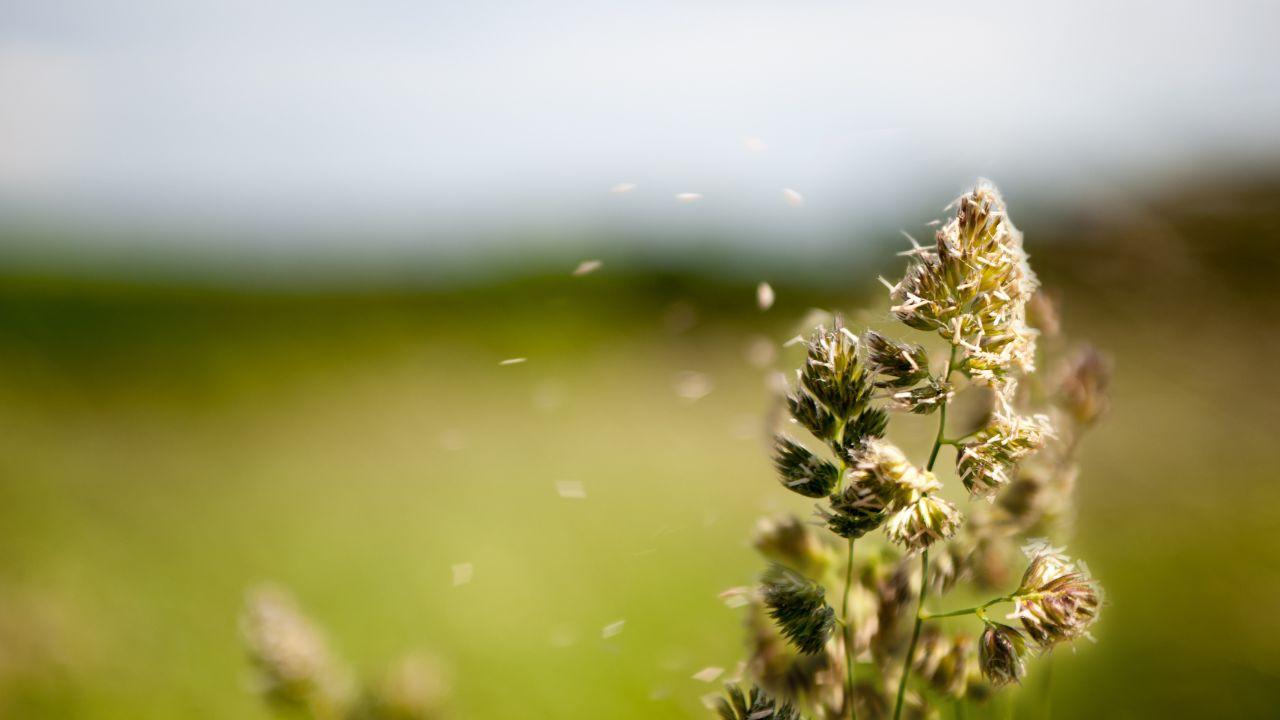 
	(foto di repertorio)

