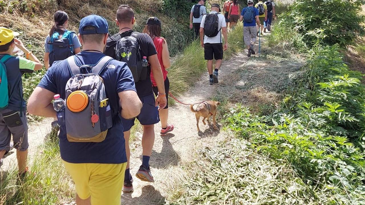 Arriva la Magnalonga a Rubiera: una passeggiata tra cibo locale e solidarietà