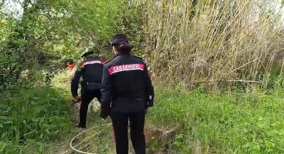 Livorno, tragedia sulla strada 206: trovato il cadavere di un uomo. Era morto da mesi