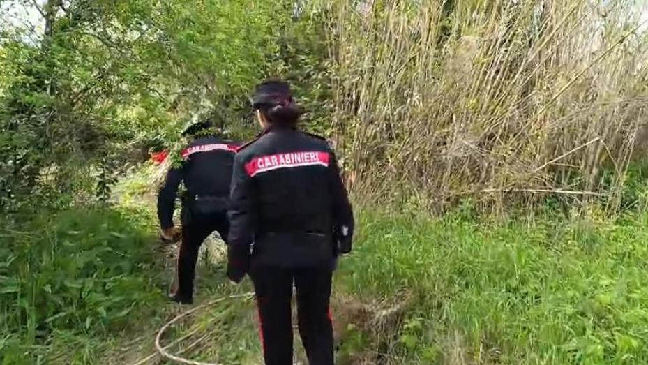 Livorno, tragedia sulla strada 206: trovato il cadavere di un uomo. Era morto da mesi