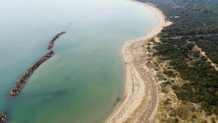 Una veduta del litorale di San Rossore