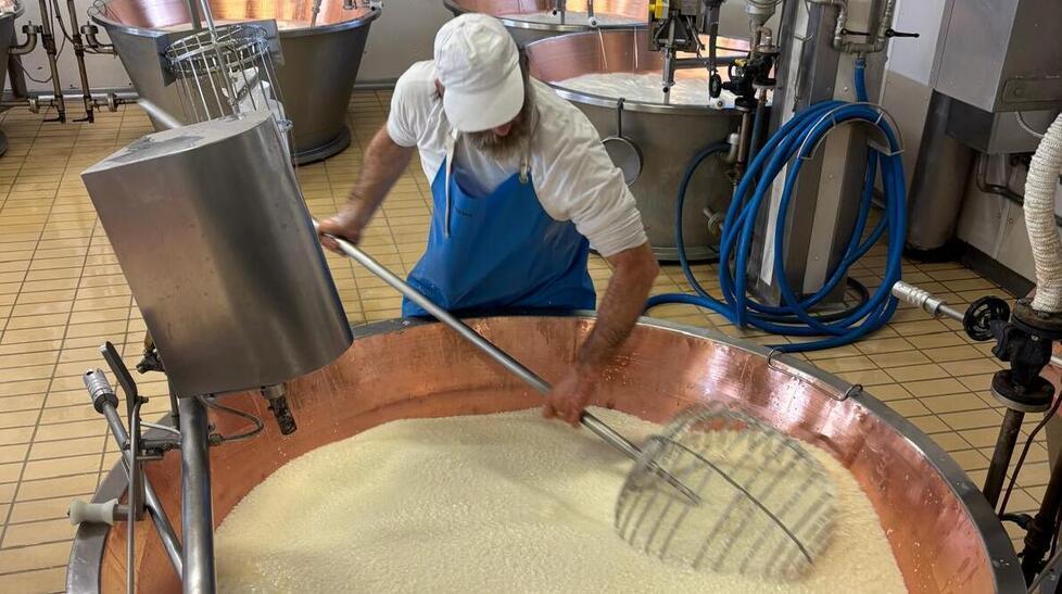 «Nei caseifici aperti il visitatore vive un’esperienza autentica»