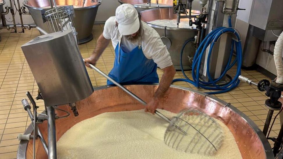 «Nei caseifici aperti il visitatore vive un’esperienza autentica»