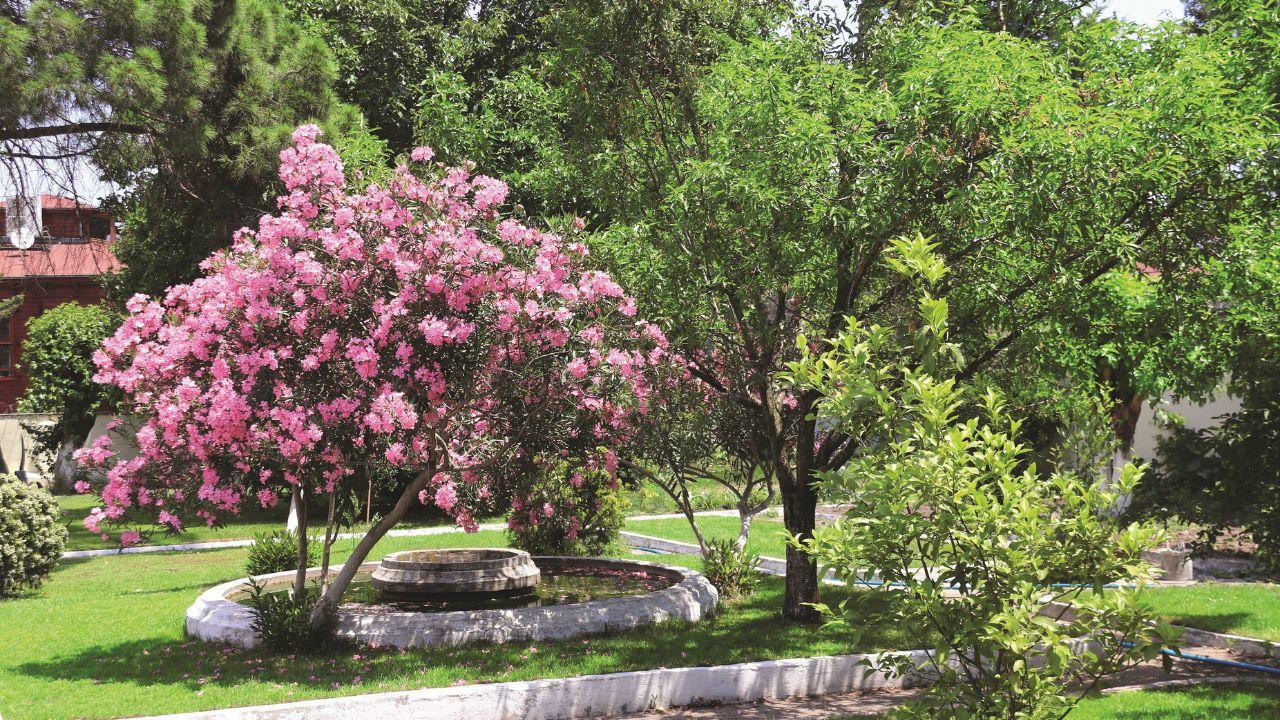 (foto di repertorio)