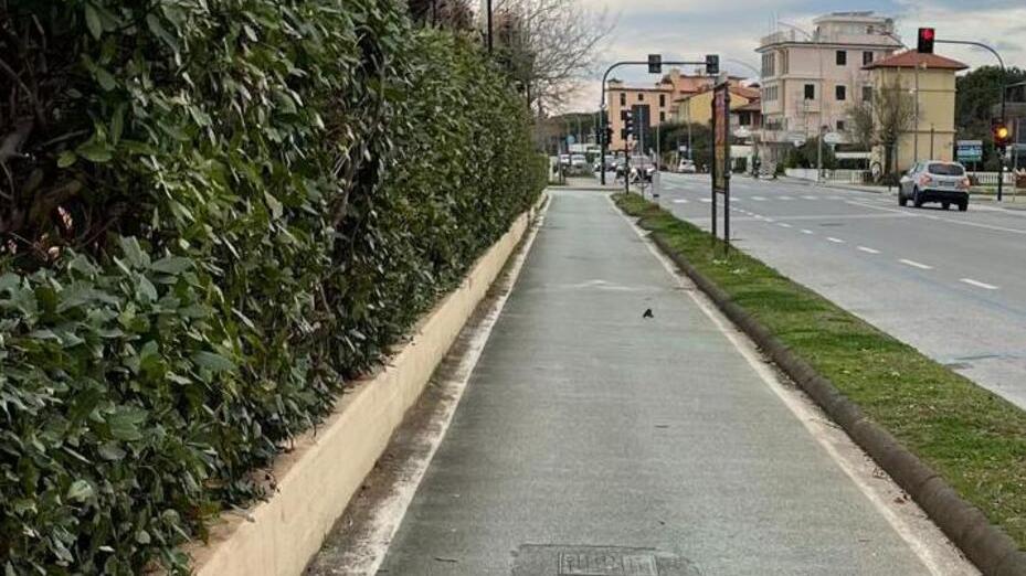 Pietrasanta, balneari pronti a rifare il lungomare per avere vantaggi sulle concessioni<br type="_moz" />