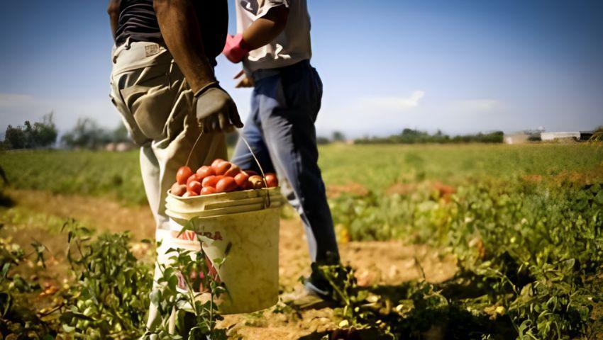 “Braccianti sfruttati e impiegati 12-14 ore”, la reazione di Flai Ferrara per difenderli