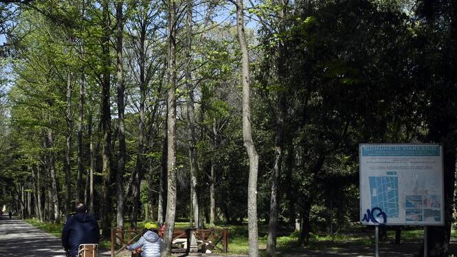 Viareggio, paura in pineta: dodicenni molestate dai pusher mentre si allenano