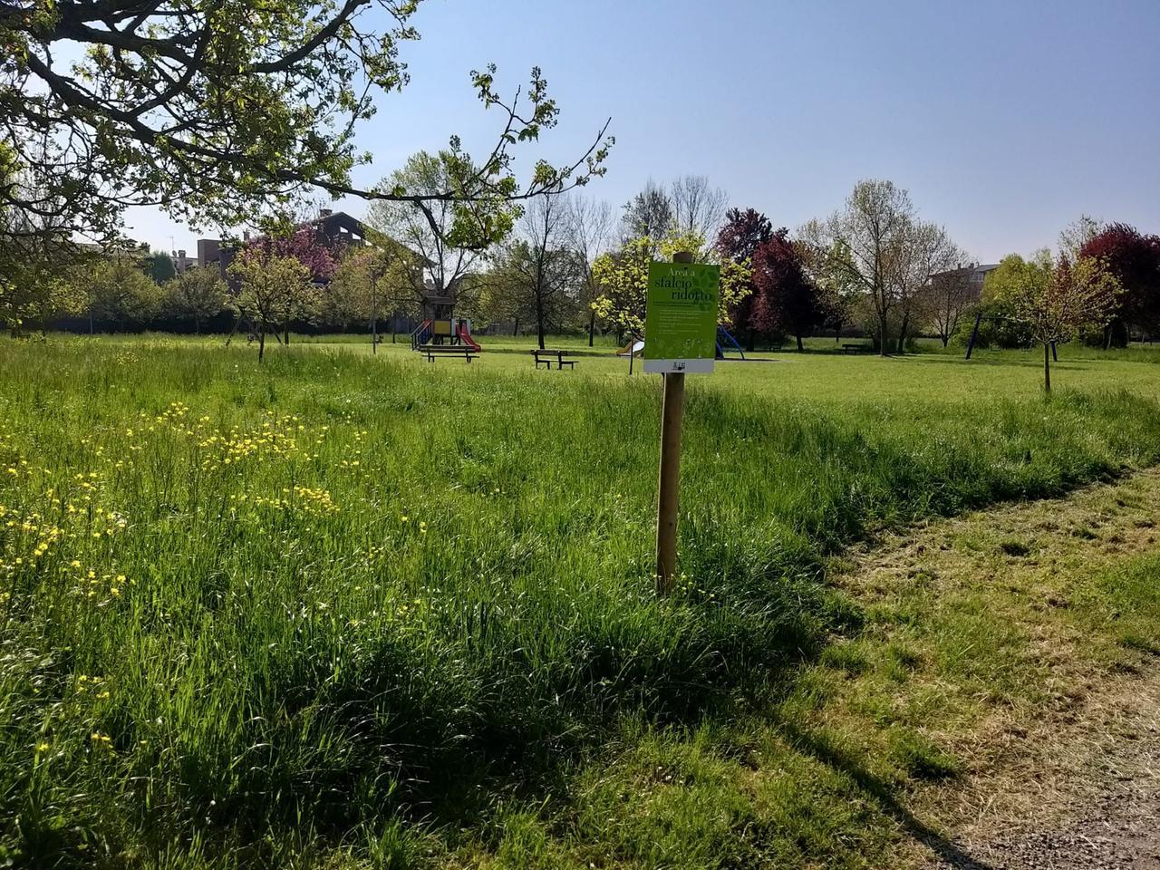 L’erba alta nei parchi ora è voluta: a Reggio si sperimenta lo sfalcio ridotto