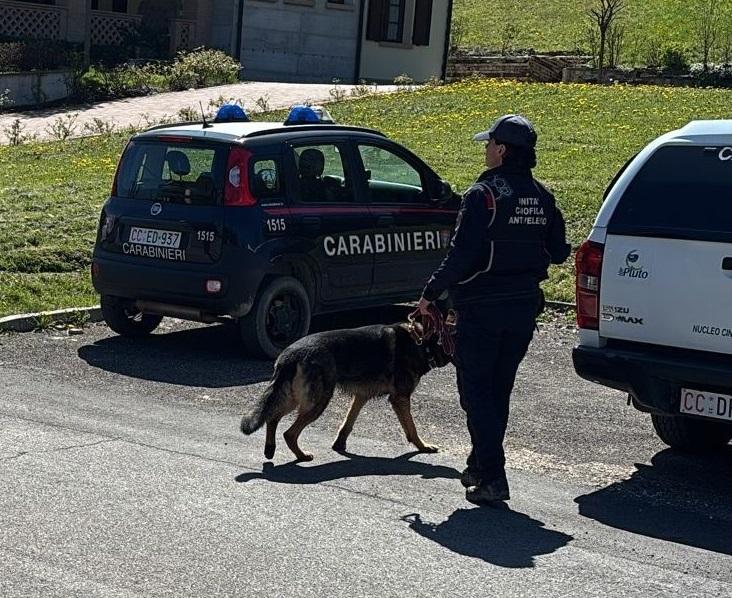 Cane muore avvelenato, Forestali a caccia di esche con l’unità cinofila antiveleno