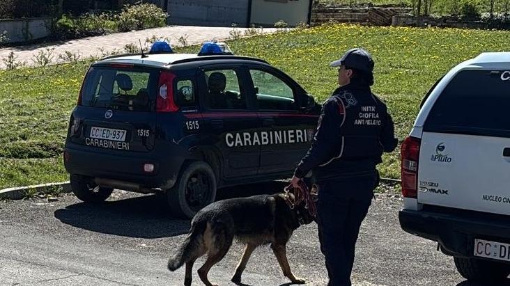 Cane muore avvelenato, Forestali a caccia di esche con l’unità cinofila antiveleno