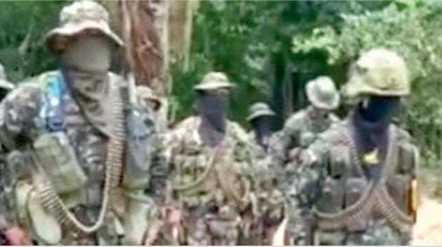 Biologo ucciso in Colombia, i guerriglieri: «Non c’entriamo con l’omicidio»