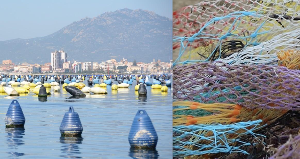Olbia, i mitilicoltori si difendono: «Non siamo noi gli inquinatori del golfo»