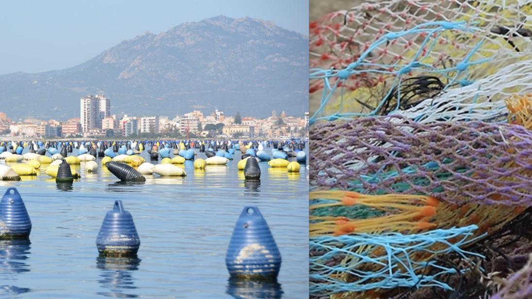 Olbia, i mitilicoltori si difendono: «Non siamo noi gli inquinatori del golfo»