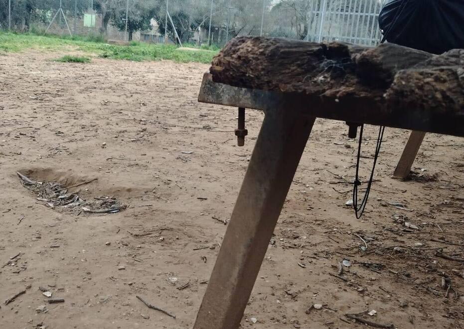 
	La panchina rotta con viti che sporgono, pericolosa per persone e animali

