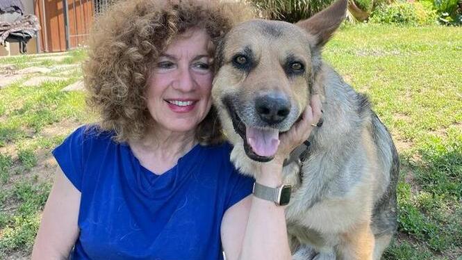 Cani, ecco perchè meglio non usare il guinzaglio flexy