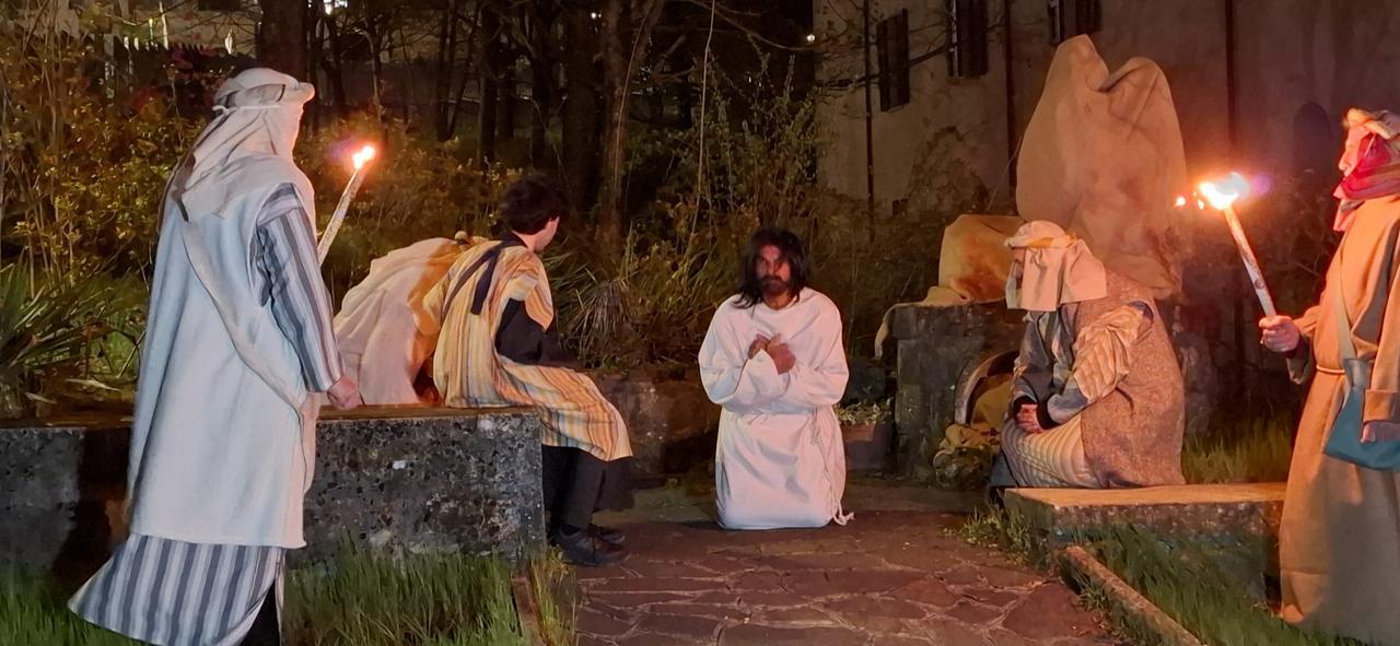 
	Ges&ugrave; nell'orto degli ulivi

