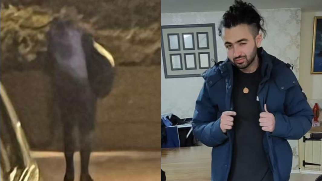 Il giovane avvistato ad Aglientu e a destra Michael Frison