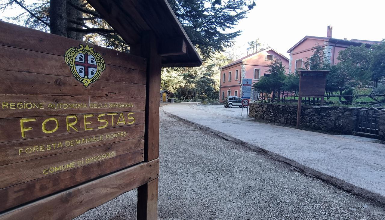 La sede dell'Ente Forestas nella zona di Montes nel territorio di Orgosolo