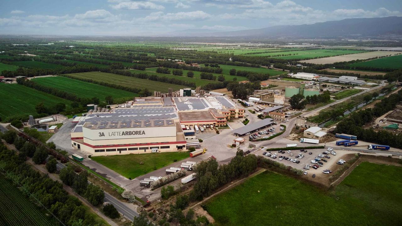 La 3A di Arborea in ascesa, fatturato record nel 2024 e il mercato della penisola premia la cooperativa