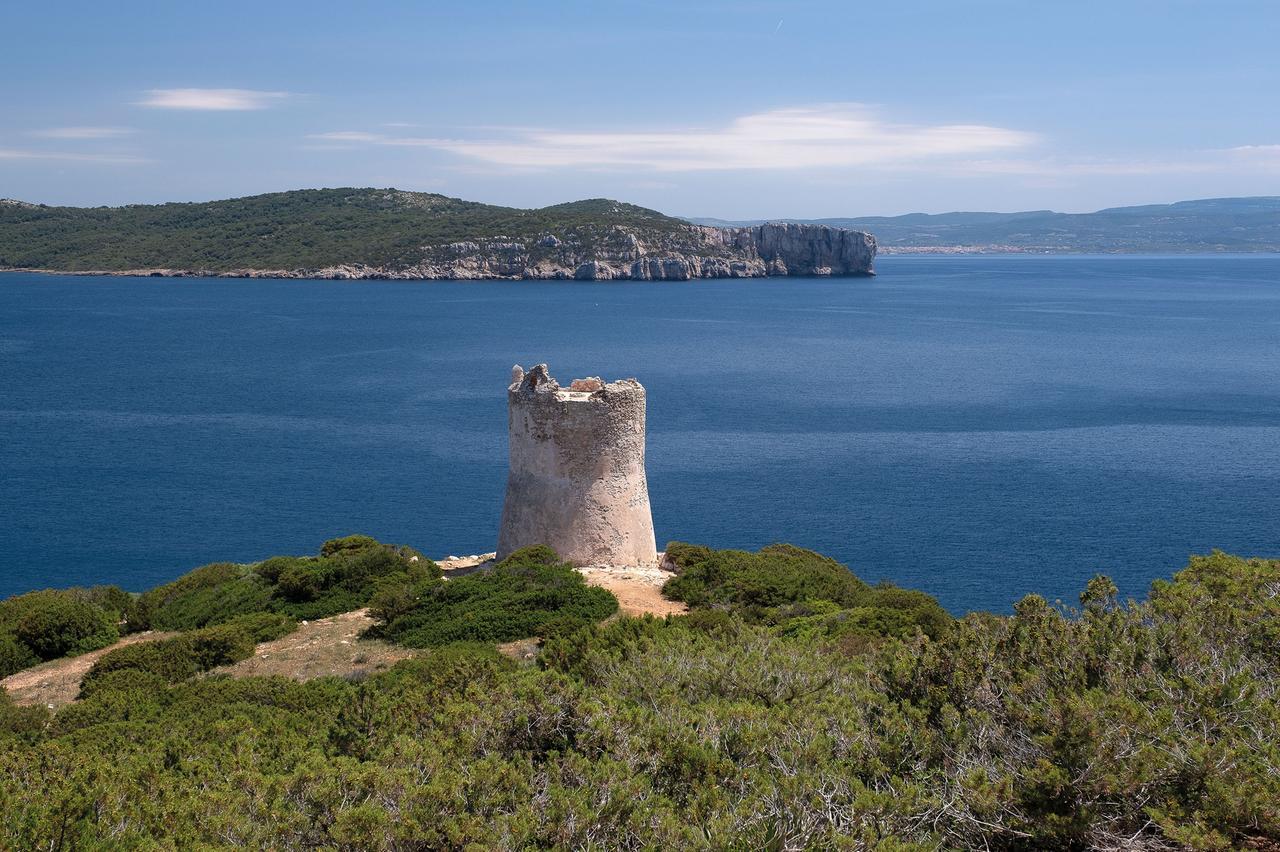 Cambiamenti climatici e reazioni a catena: che cos’è l’effetto domino